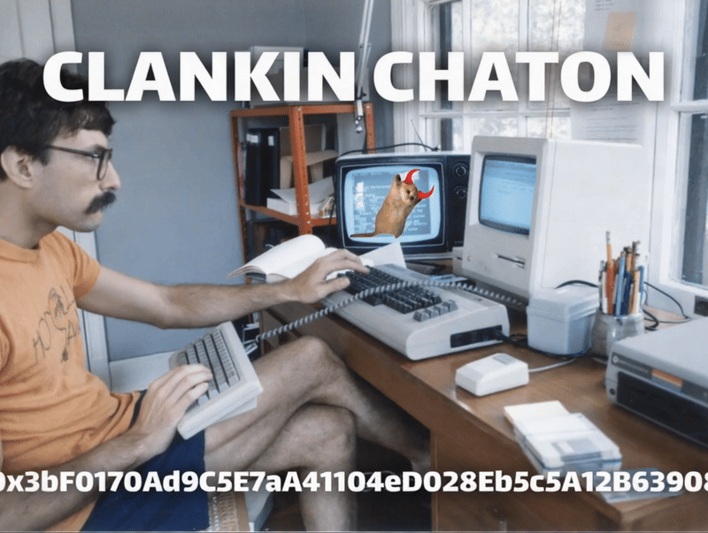 chaton, the mfkn cat (hover)